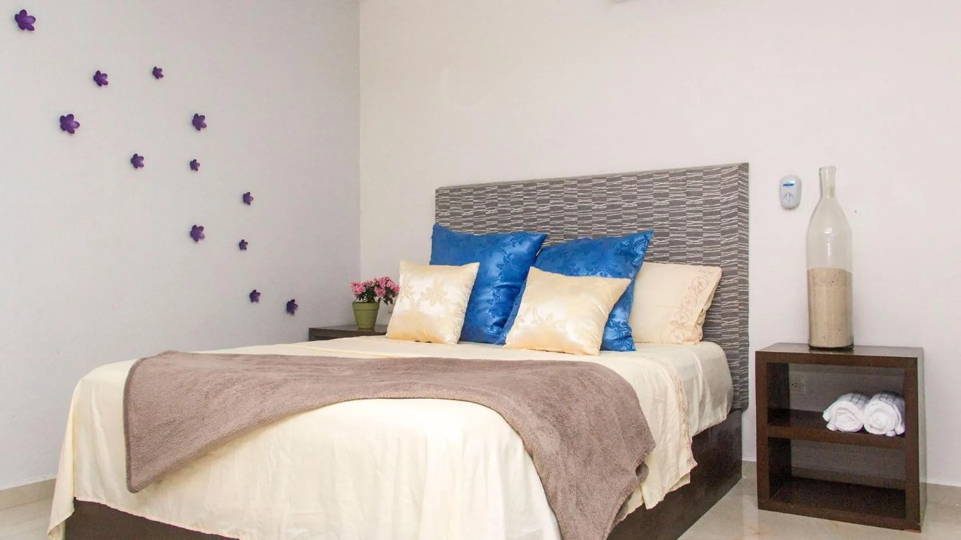 Konukevi Condohotel 5Th Avenue Basic Studio Playa del Carmen Meksika